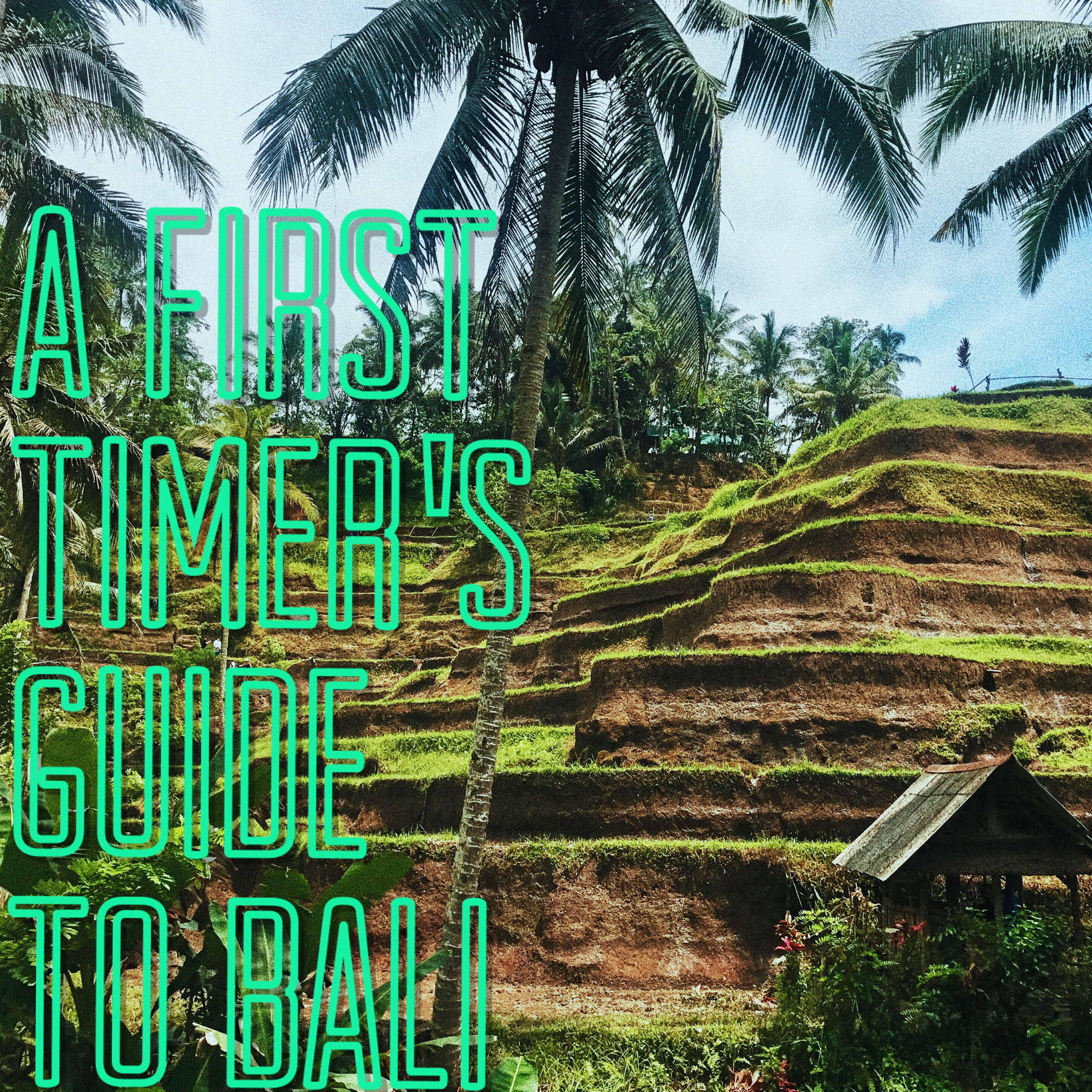 A First Timer’s Guide to Bali