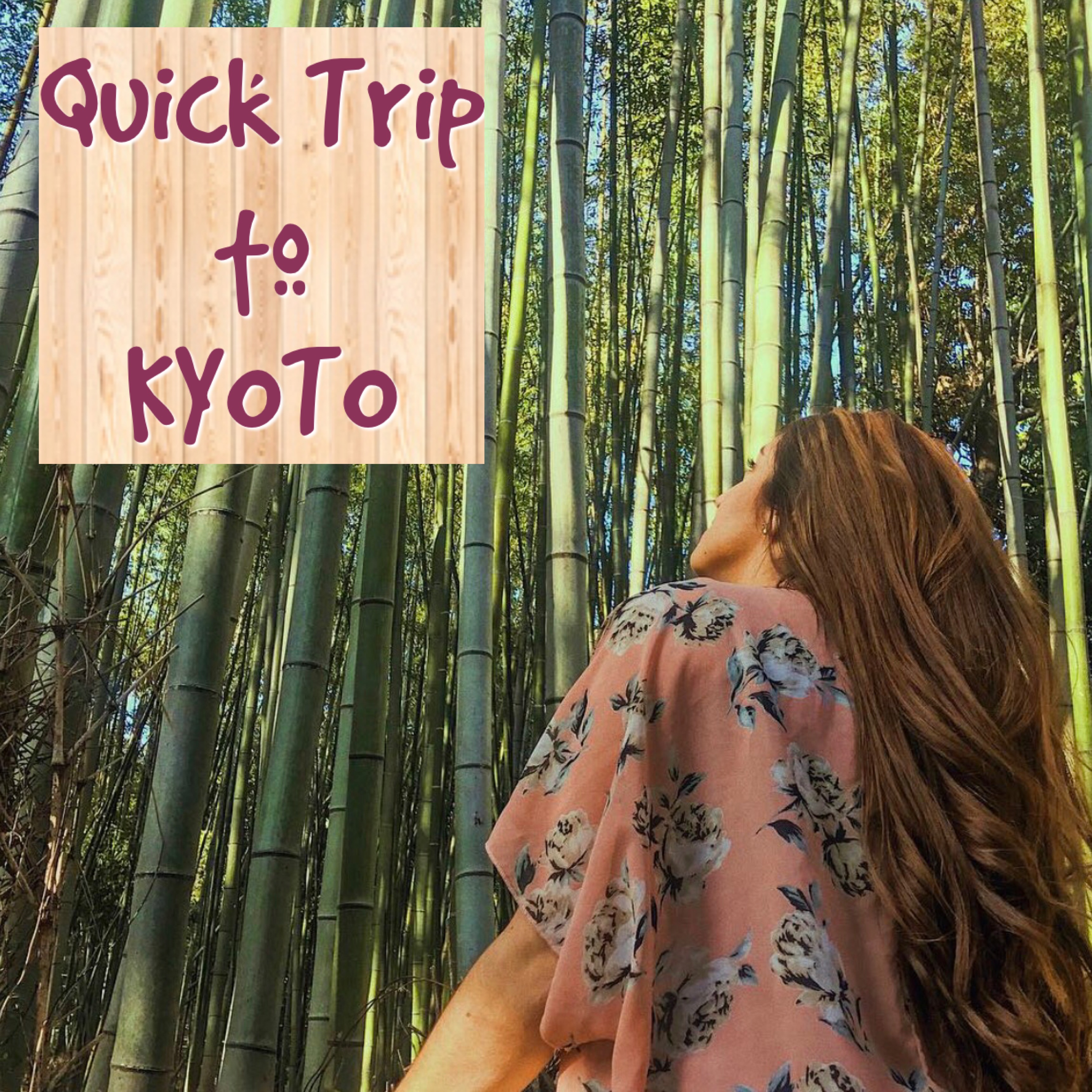 A Kyoto Quick Trip!