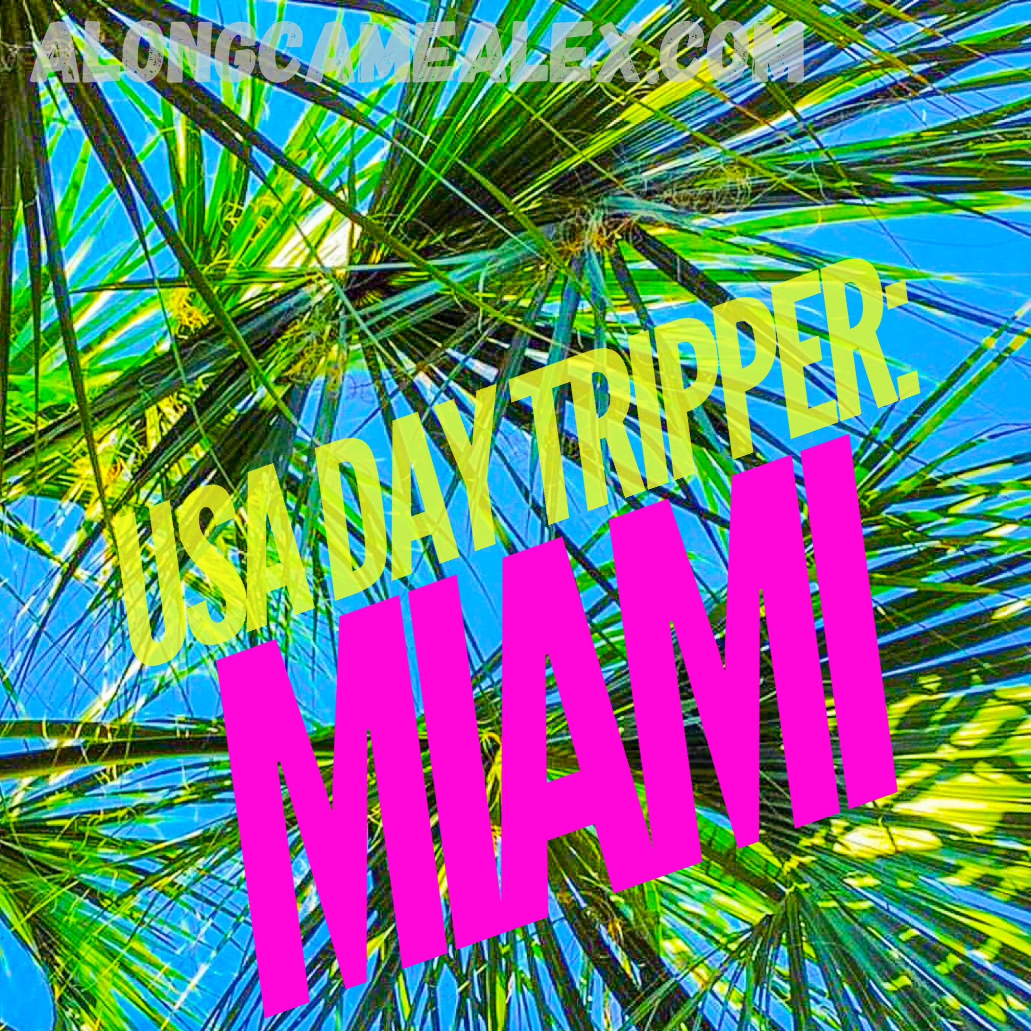 USA Day Tripper: Miami