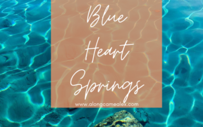 Boise Day Trip: Blue Heart Springs